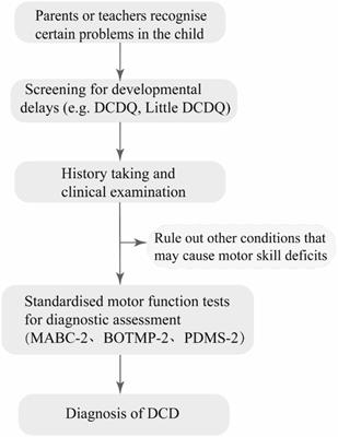 Children with developmental coordination disorders: a review of approaches to assessment and intervention
